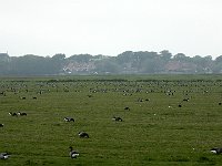 foto 024